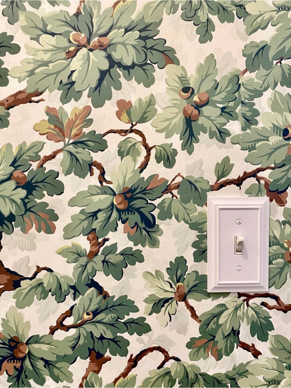 1 Roll Peel and Stick Wallpaper from The Inside (Green Botanical)
